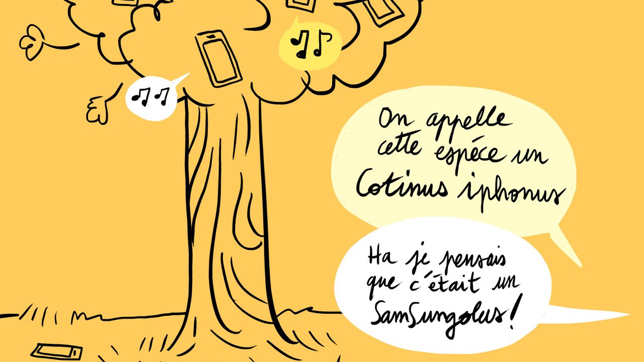 Un arbre a des téléphones à la place des fruits. “On appelle cette espèce un Cotinus iphonus” “Ha je pensais que c'était un SamSungolus !”