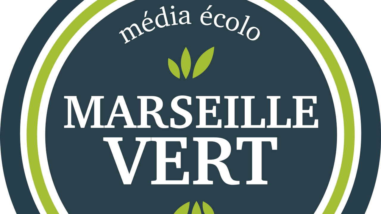 Recension du livre d'Yves Marry "Numérique, on arrête tout et on réfléchit" (Rue de l'échiquier, 2024) sur Marseille Vert, le 14 mars 2024