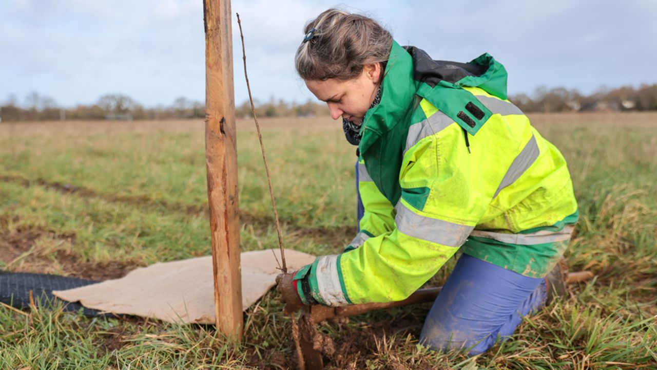 Une jeune femme accroupie dans un champ. Elle plante un jeune arbre