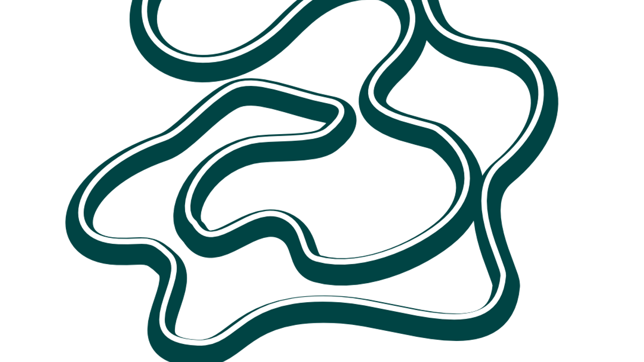 Somatic activism logo