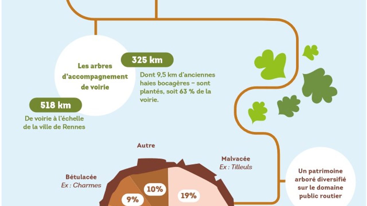 Quelques chiffres sur la répartition des espèces boisées à Rennes.