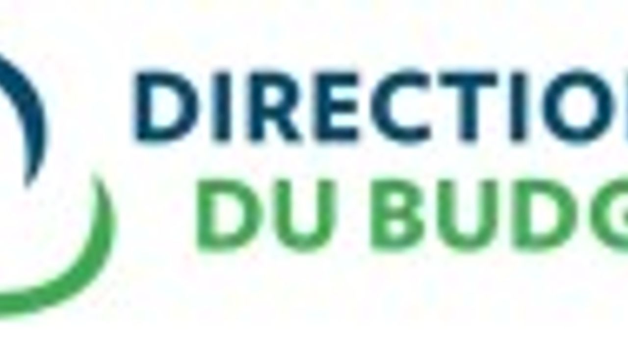 Ministère de l'Economie, des finances et de l'Industrie, chargé du Budget et des Comptes publics - Direction du Budget