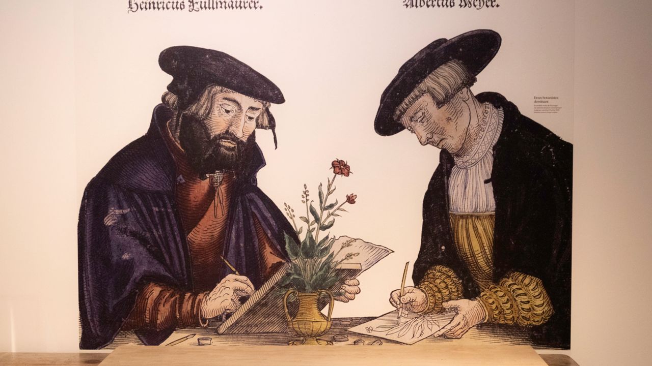 Image de deux hommes dessinant des fleurs. Au premier plan, dessins des fleurs réalisés par les deux hommes.
