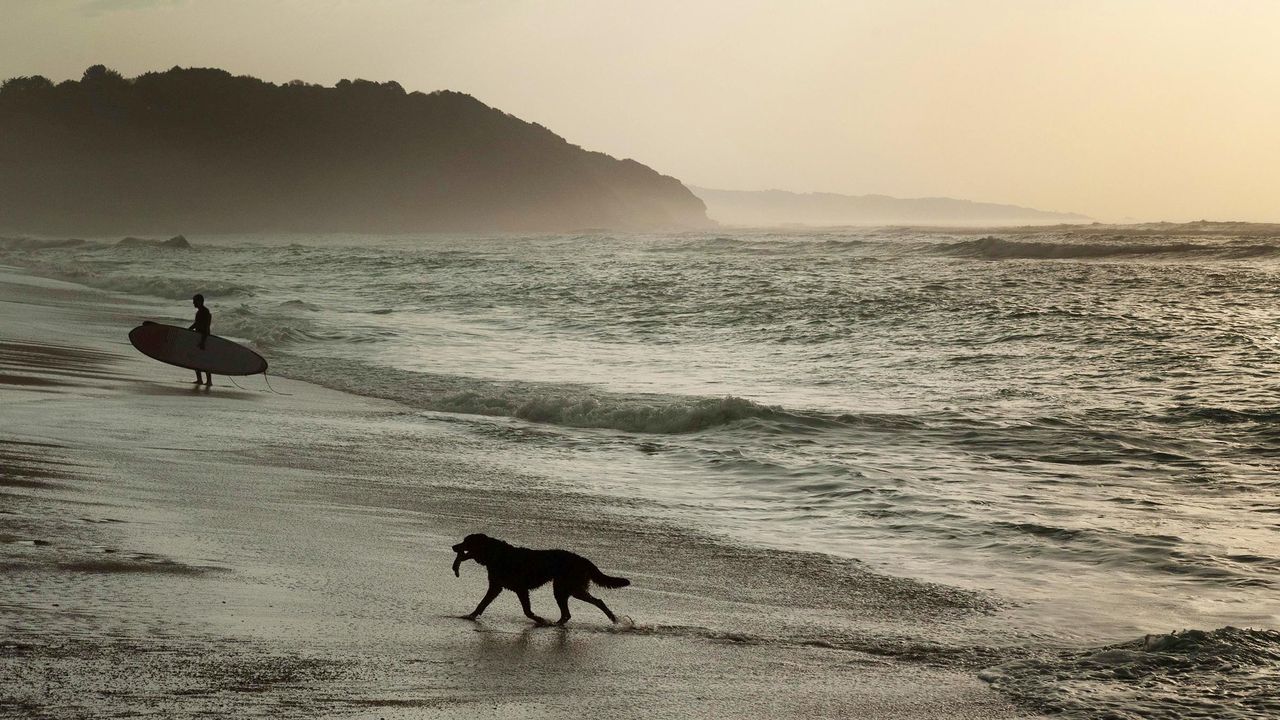 Côte basque - bord de mer - Un surfeur et un chien regagnent le sable