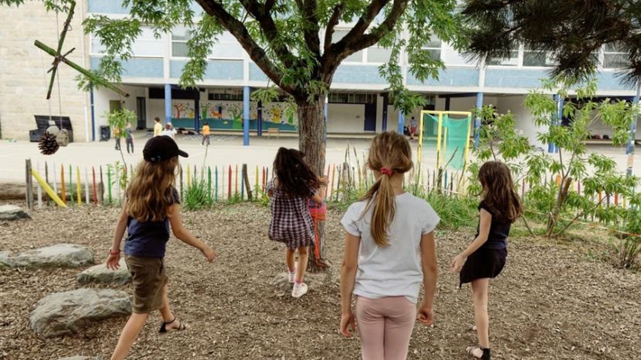 Des enfants s'amusent autour d'un arbre dans un espace végétalisé créé dans leur cour de récréation.