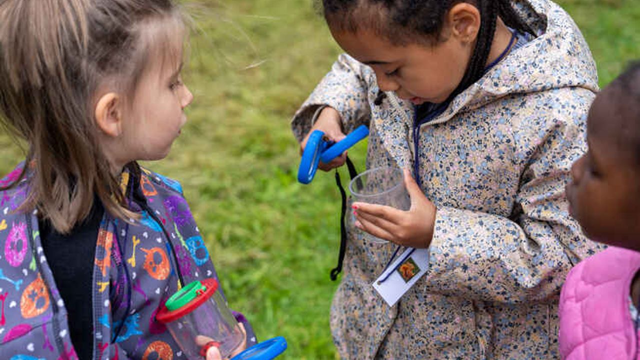 Des enfants observent des inscetes dans une boîte avec une loupe.