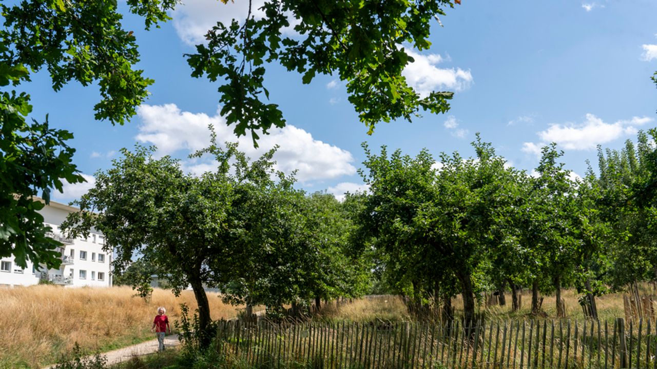 une personne se promène dans le verger du Landry