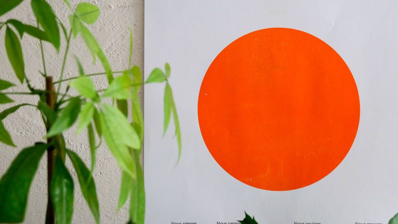 Affiche orange verso