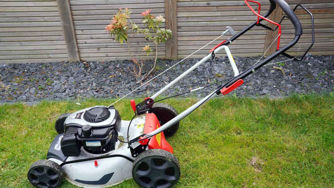 Une tondeuse à gazon en action dans un jardin.
