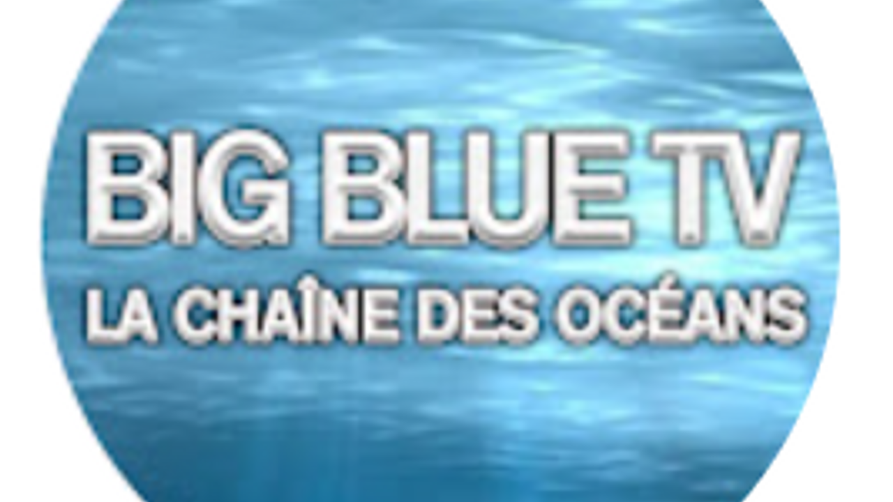 Big Blue TV