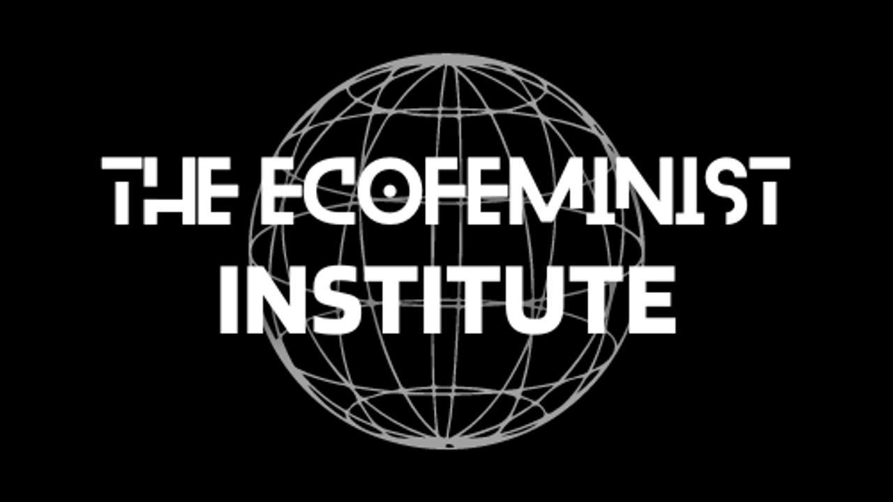 The Ecofeminist Institute