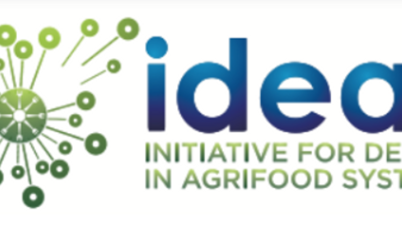 Initiative for DEsign in Agrifood Systems