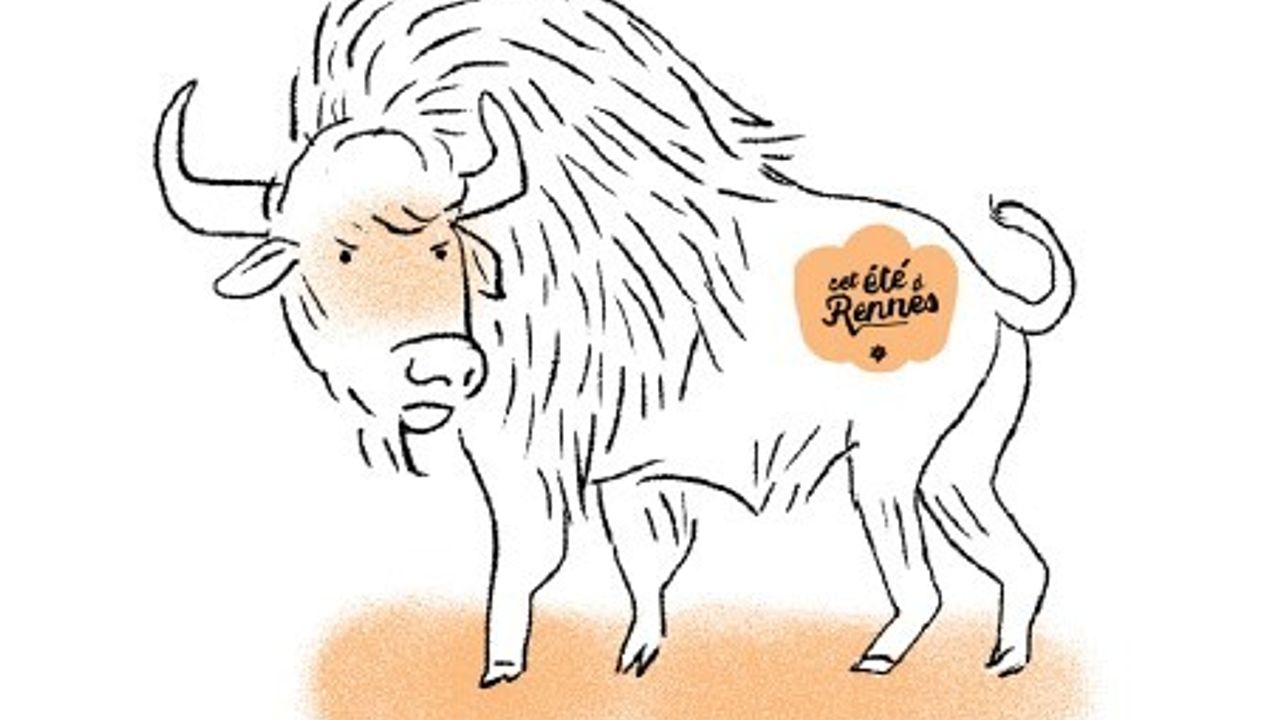 un bison avec un tatouage Rennes Métropole sur le flanc signifiant que la campagne de communication équivaut à ce poids en empreinte carbone
