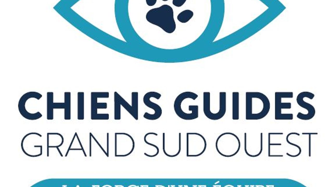 Association Chiens Guides Grand Sud Ouest Alienor Bordeaux