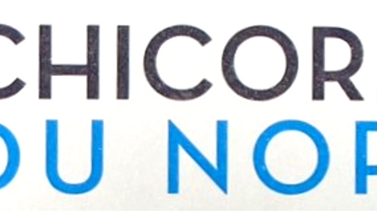 CHICORÉE DU NORD