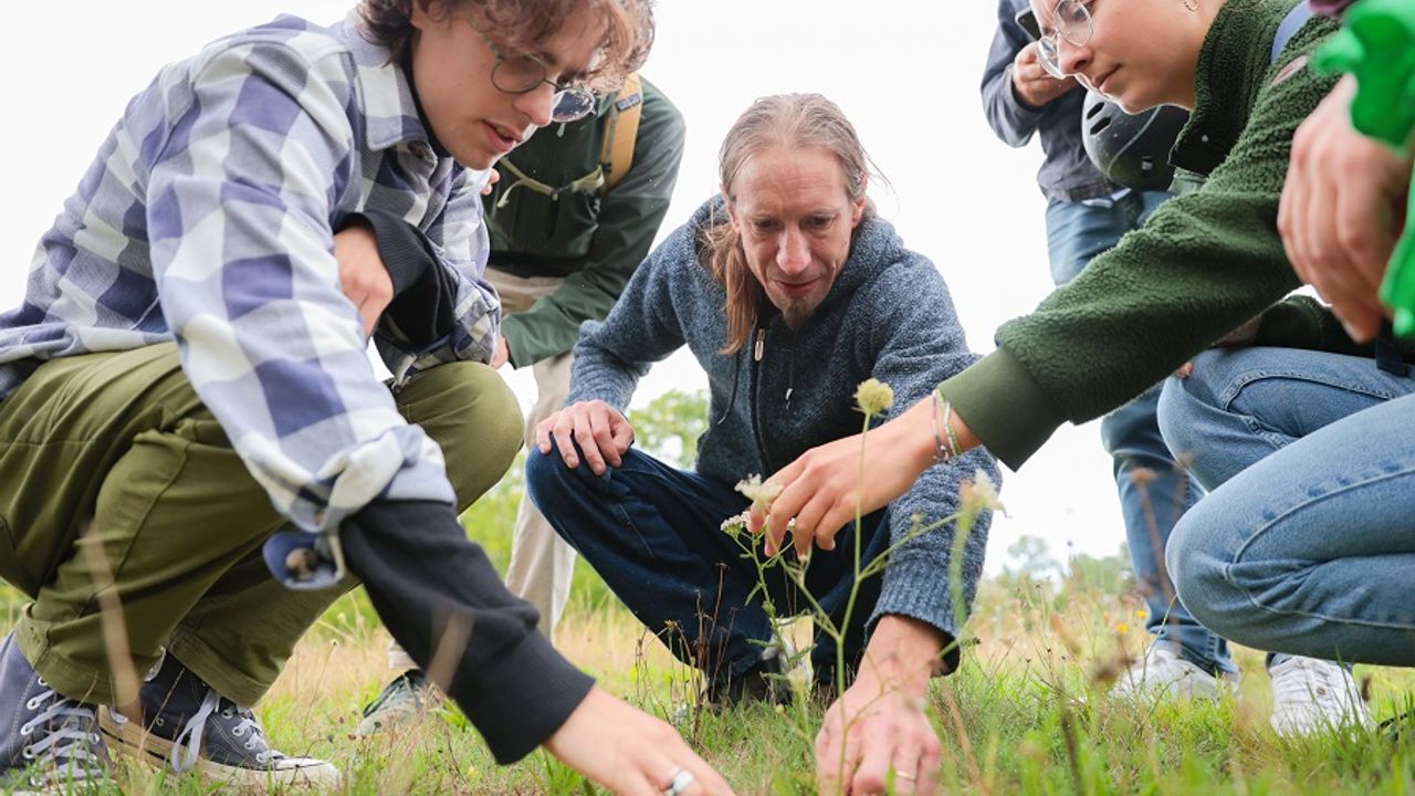 Des participants à un atelier du bioblitz autour d'une plante poussant sur une pelouse, dans le campus de Beaulieu samedi 13 septembre 2025.