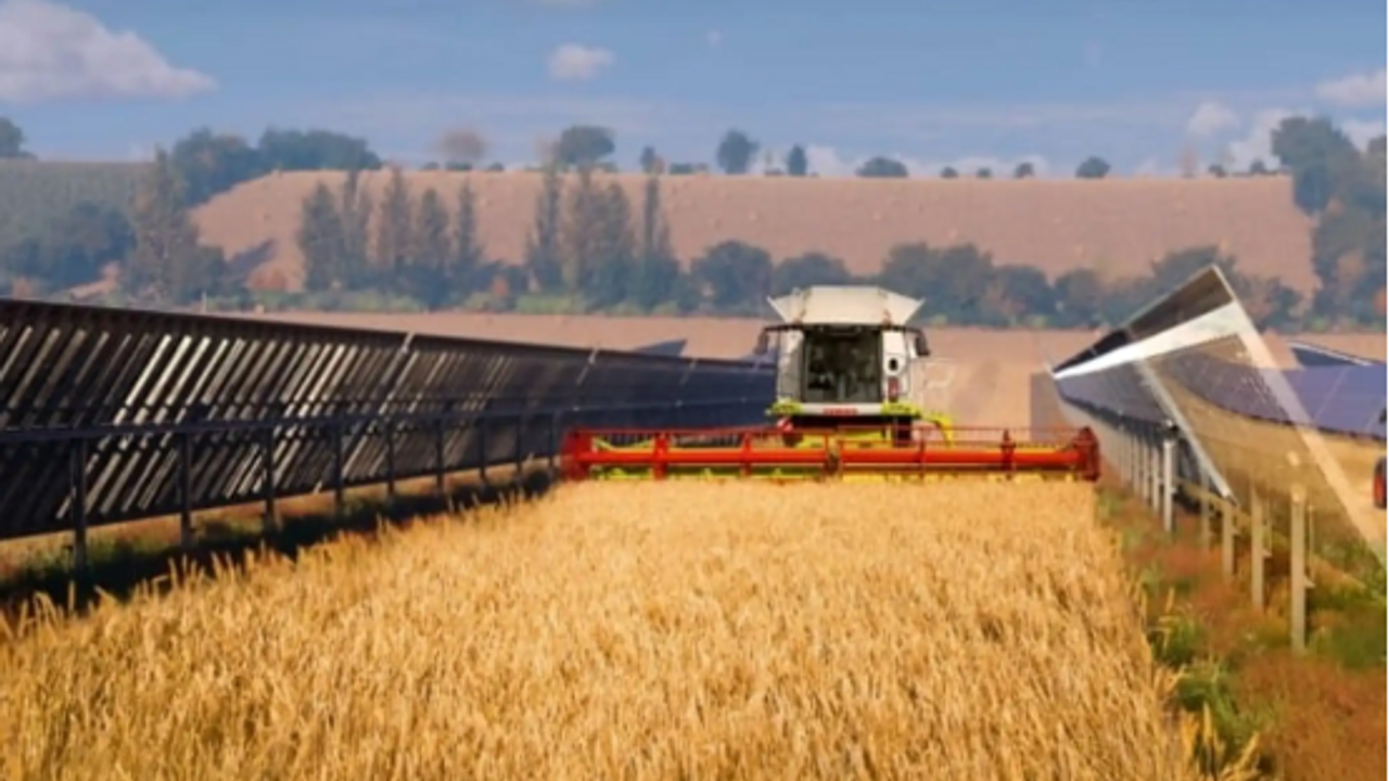 Moisonneuse batteuse CLAAS dans parcelle agrivoltaique. 