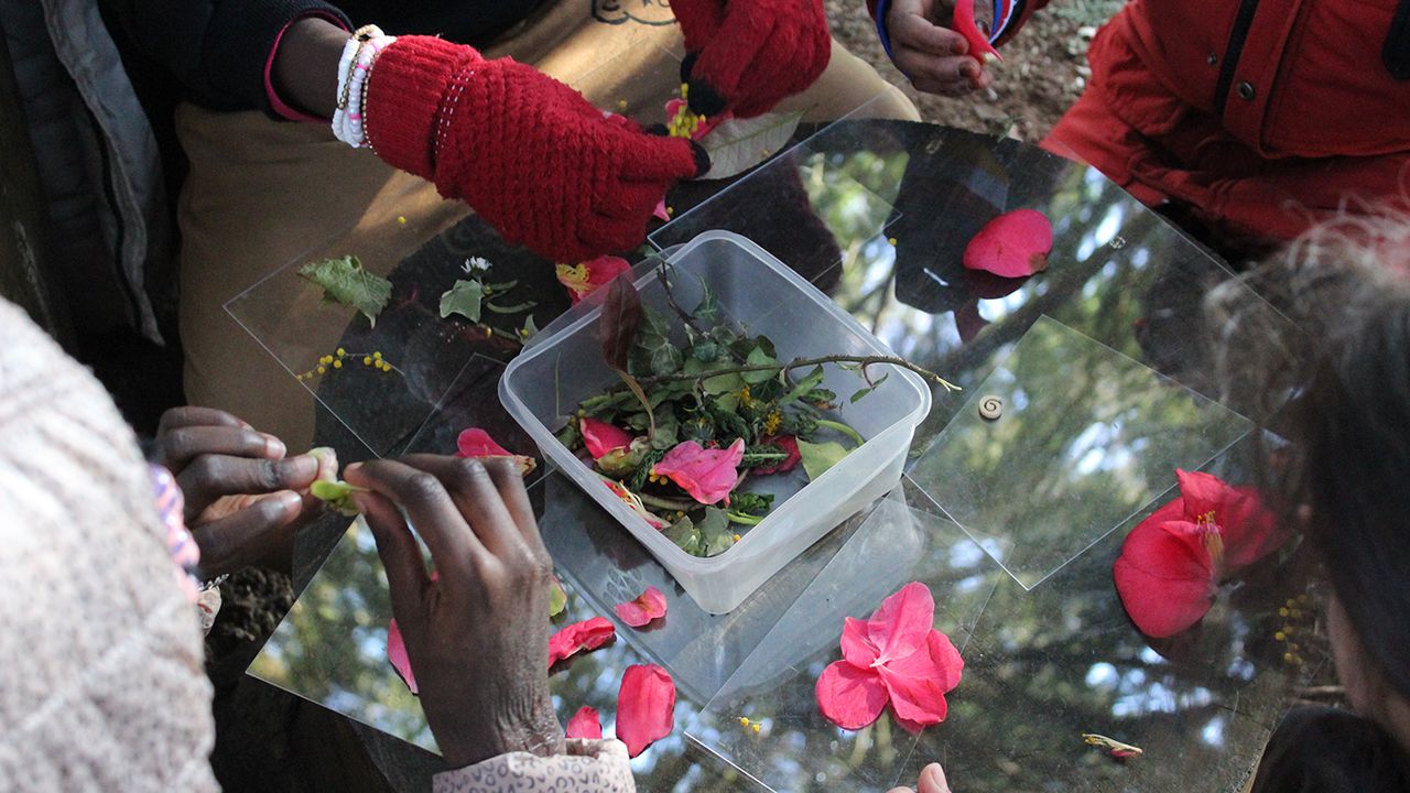 Plusieurs enfants composent leur plaque de verre en posant des éléments de la nature glanés par l'artiste.