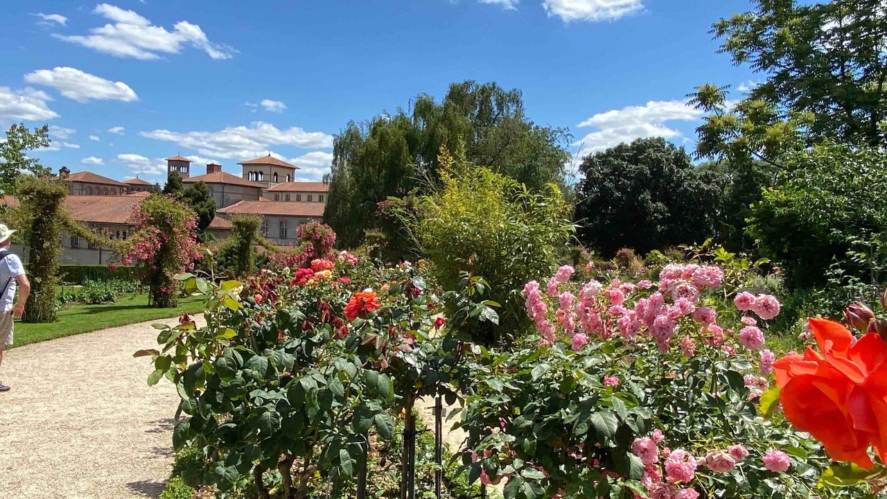 Vue du Thabor sur les toits du lycée saint vincent. En premier plan des fleurs.
