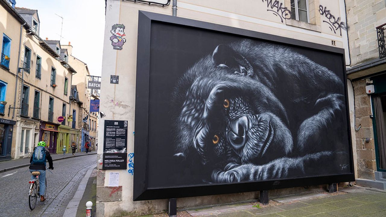 Portrait d’un gorille réalisé par Mélissa Follet