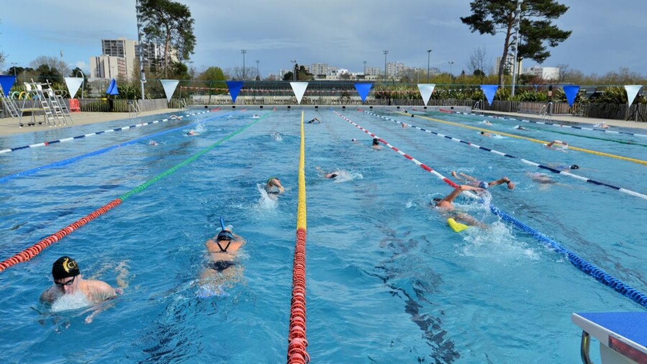 des nageurs nagent dans le bassin extérieur de la piscine de Bréquigny