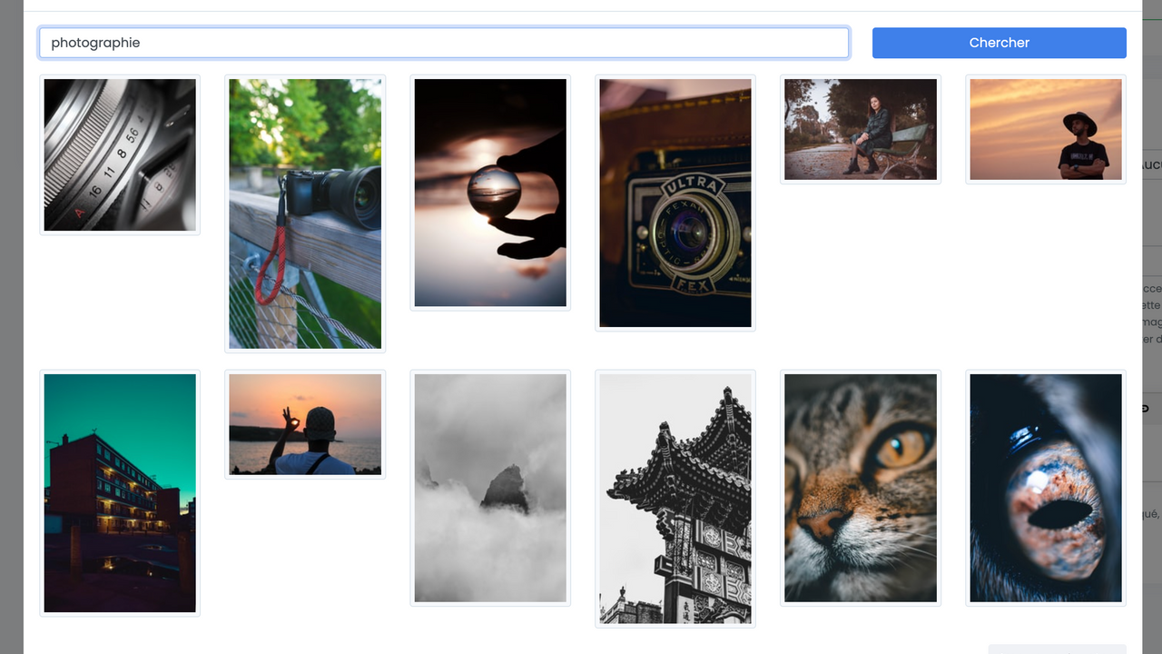 Ecran de recherche par mots-clés dans Unsplash