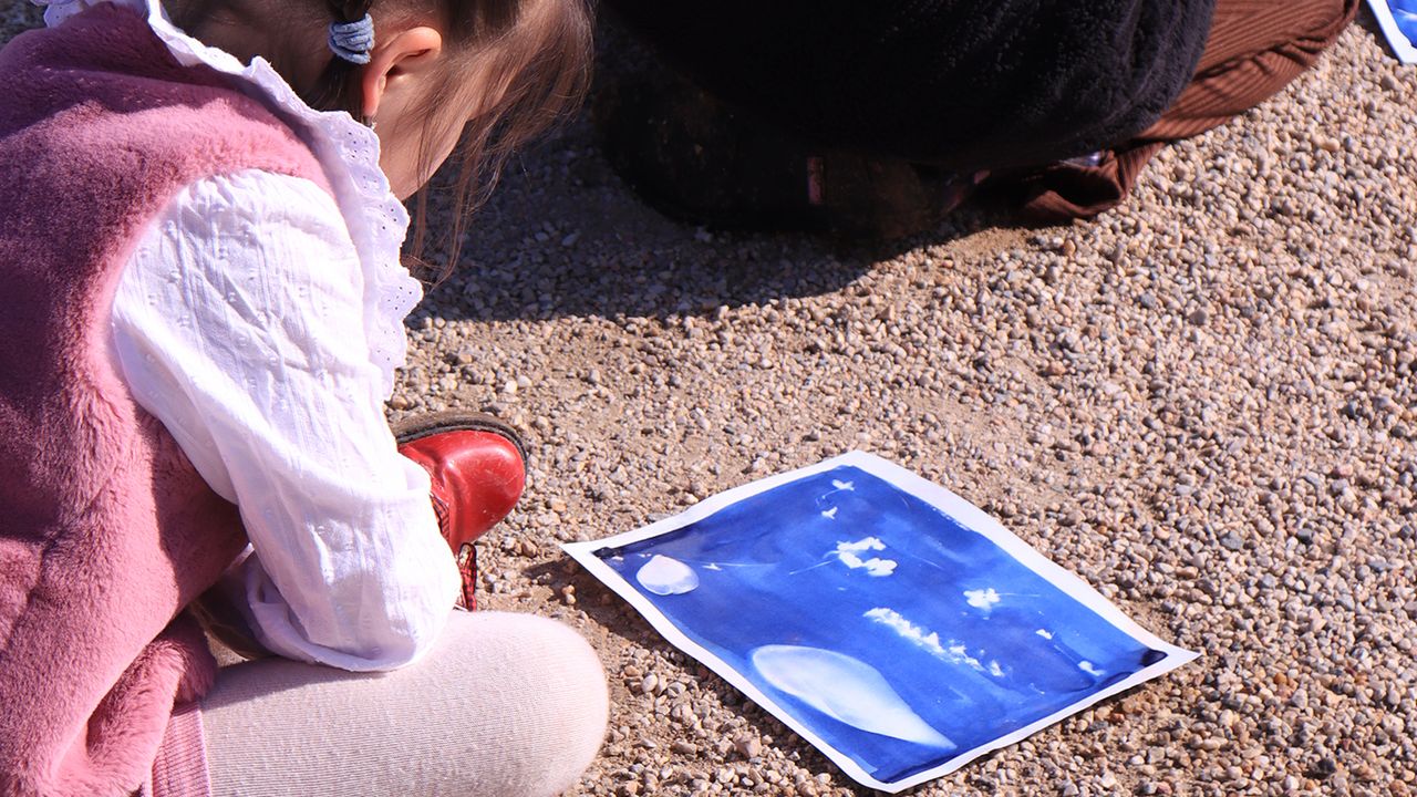 Une élève regarde son cyanotype sécher au soleil.