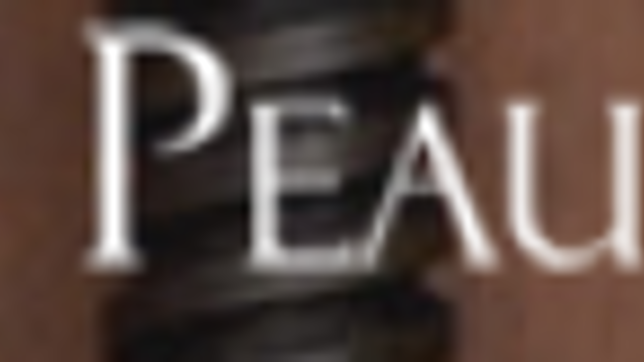 Atelier Aldo Peaucelle