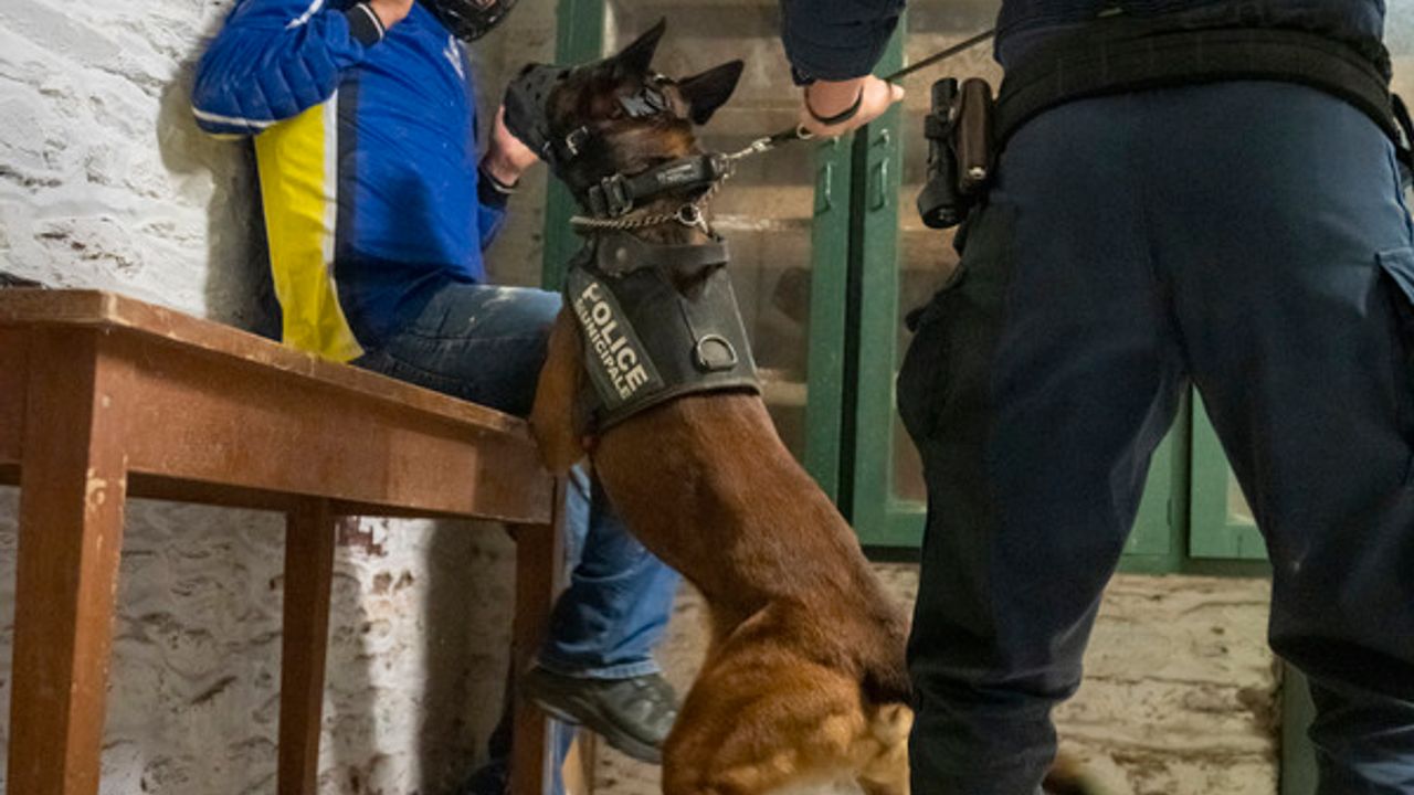 Exemple d'intervention dans une cave d'un ancien manoir.