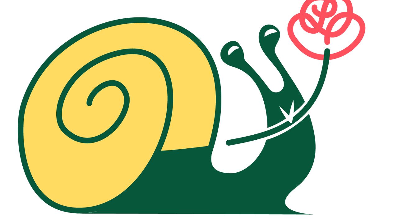 Caracol DSA