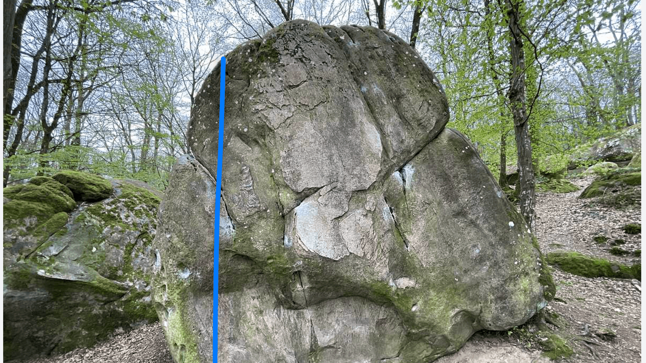 Le Réveille-Matin (4b)