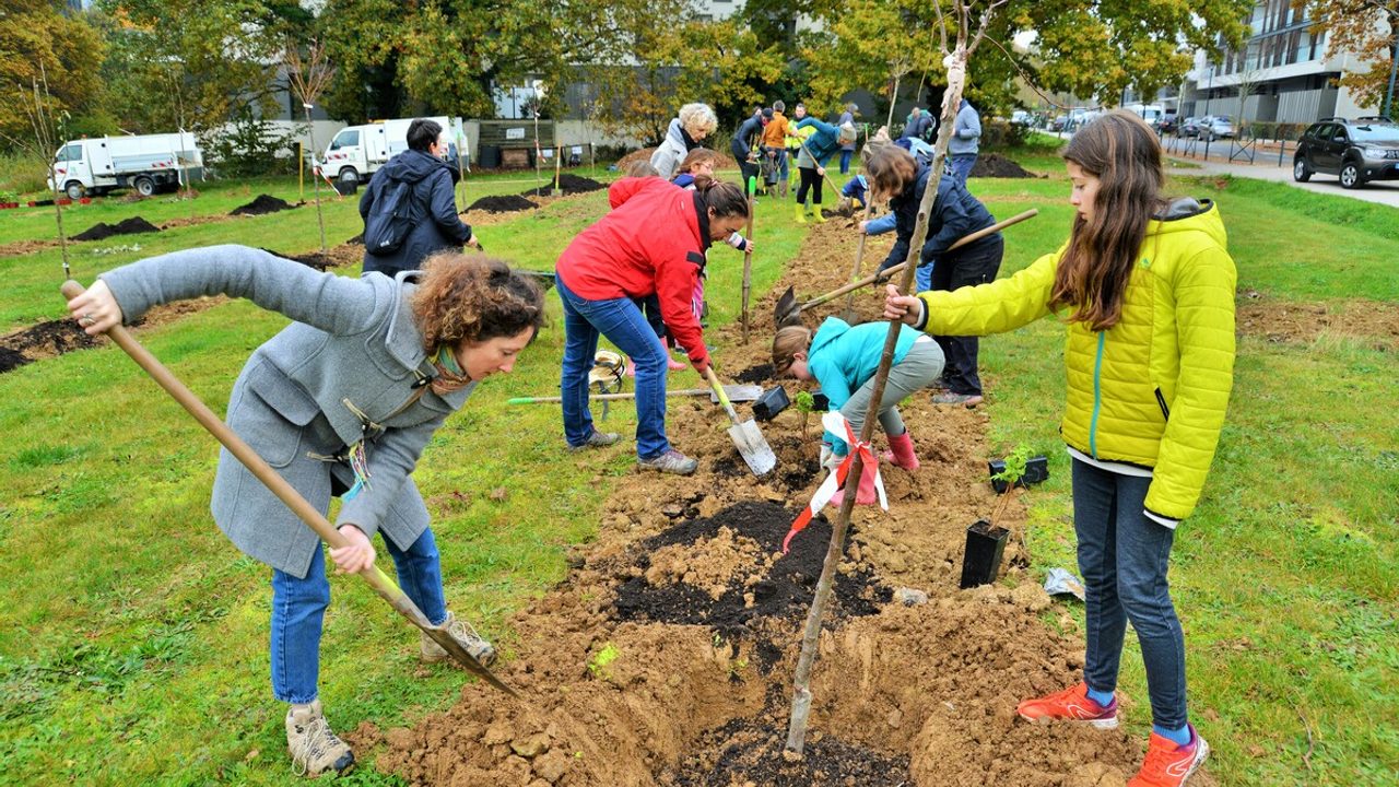 des gens réunis pour planter des arbres qui formeront à terme un verger
