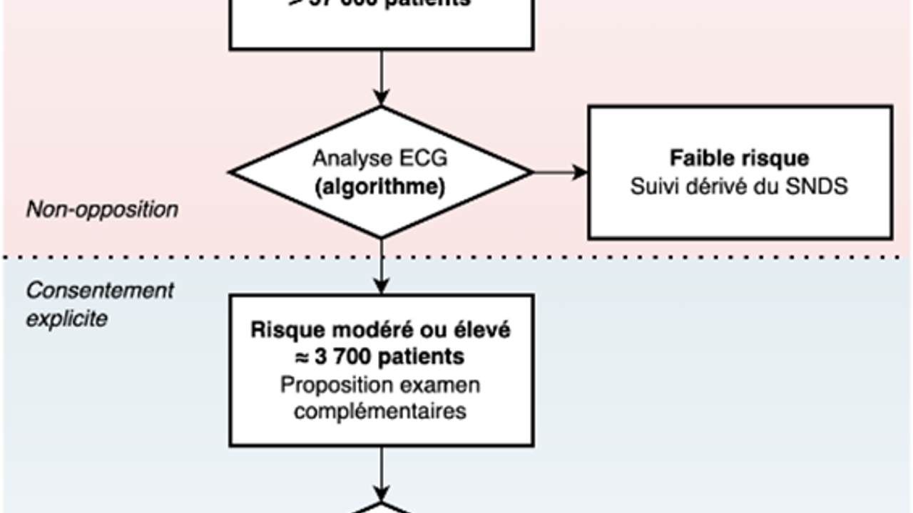 Méthodologie de l'étude