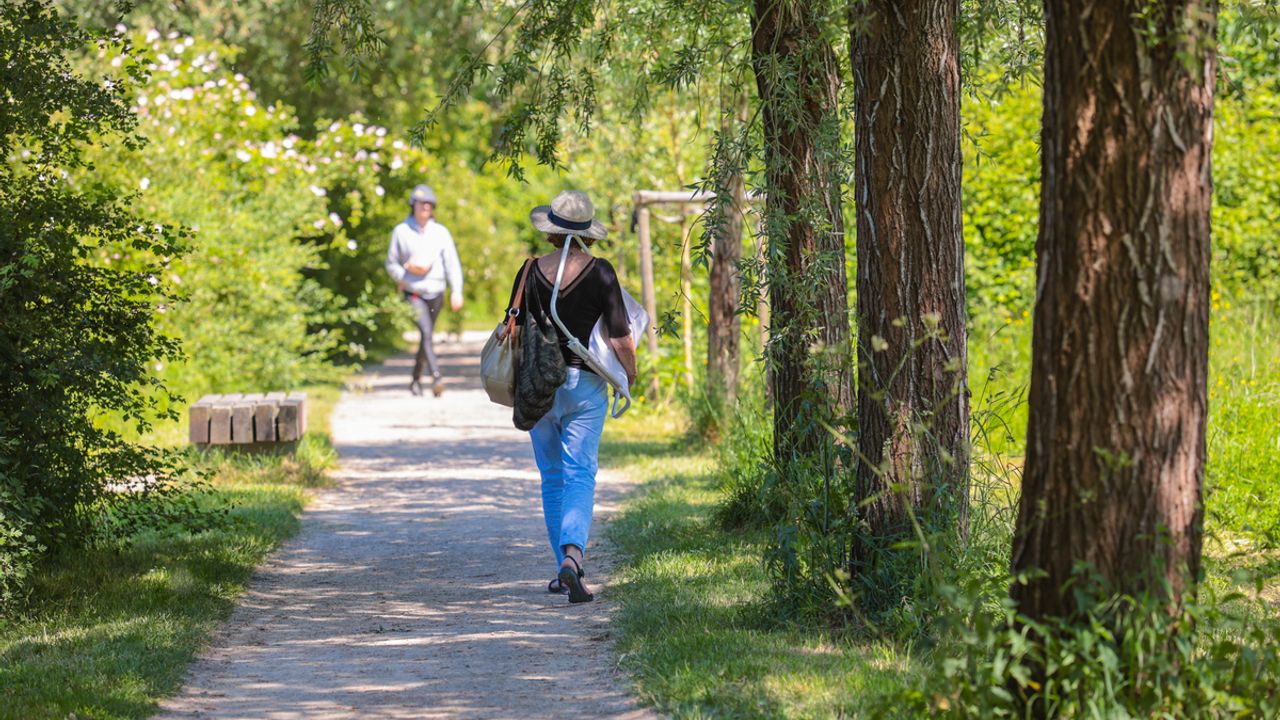 Une personne se promène dans une allée ombragée des prairies Saint-Martin, à Rennes.