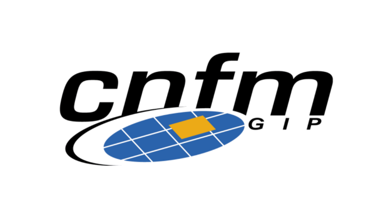 Groupement d’intérêt public pour la coordination nationale de la formation en microélectronique et en nanotechnologies (GIP CNFM)