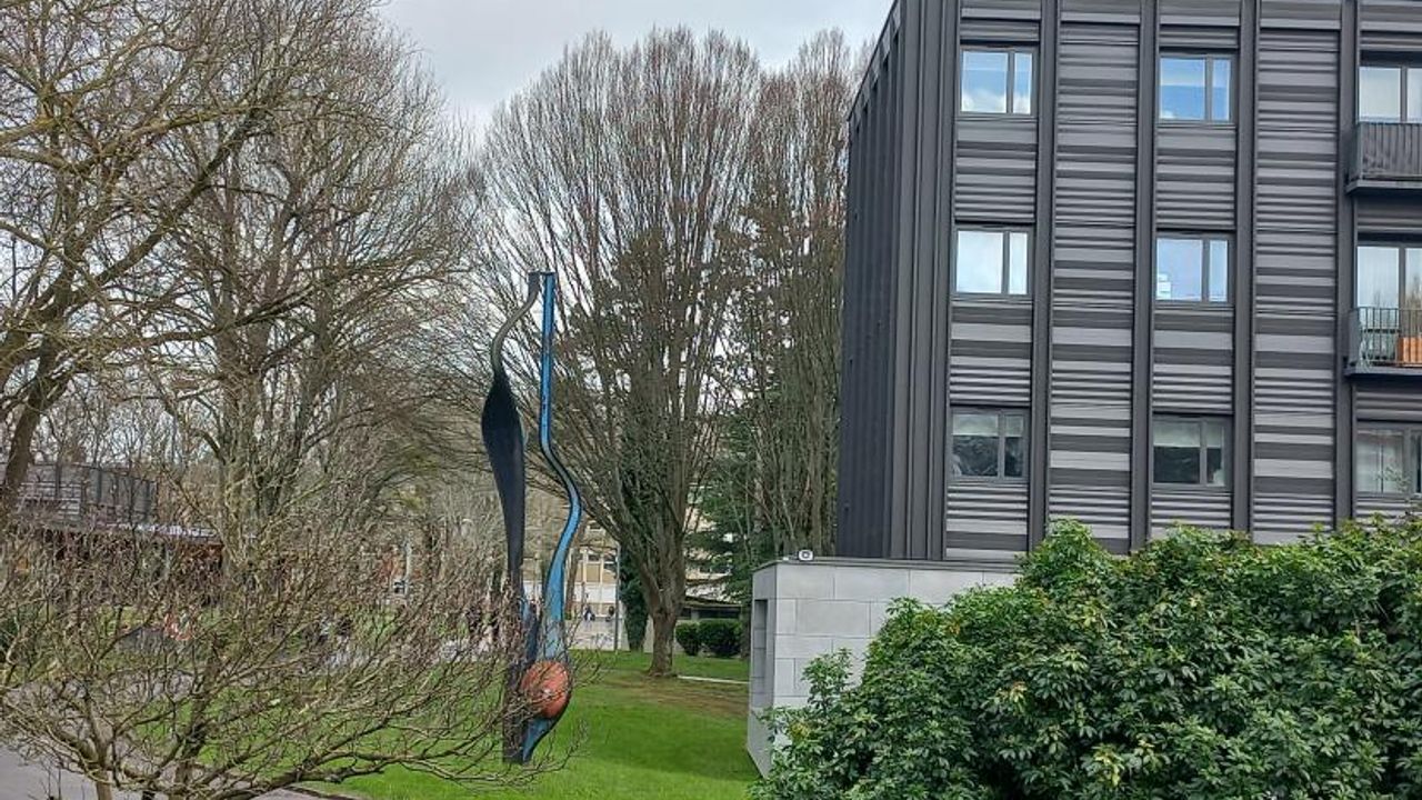 Entre les arbres et habitation, une oeuvre de Francis Pellerin.