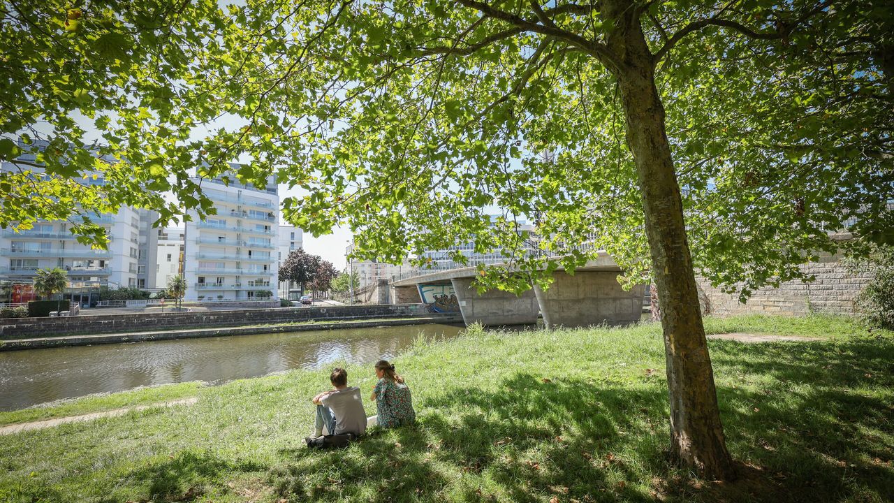 Nature en ville : deux personnes assises au bord de la Vilaine à l'ombre d'un arbre