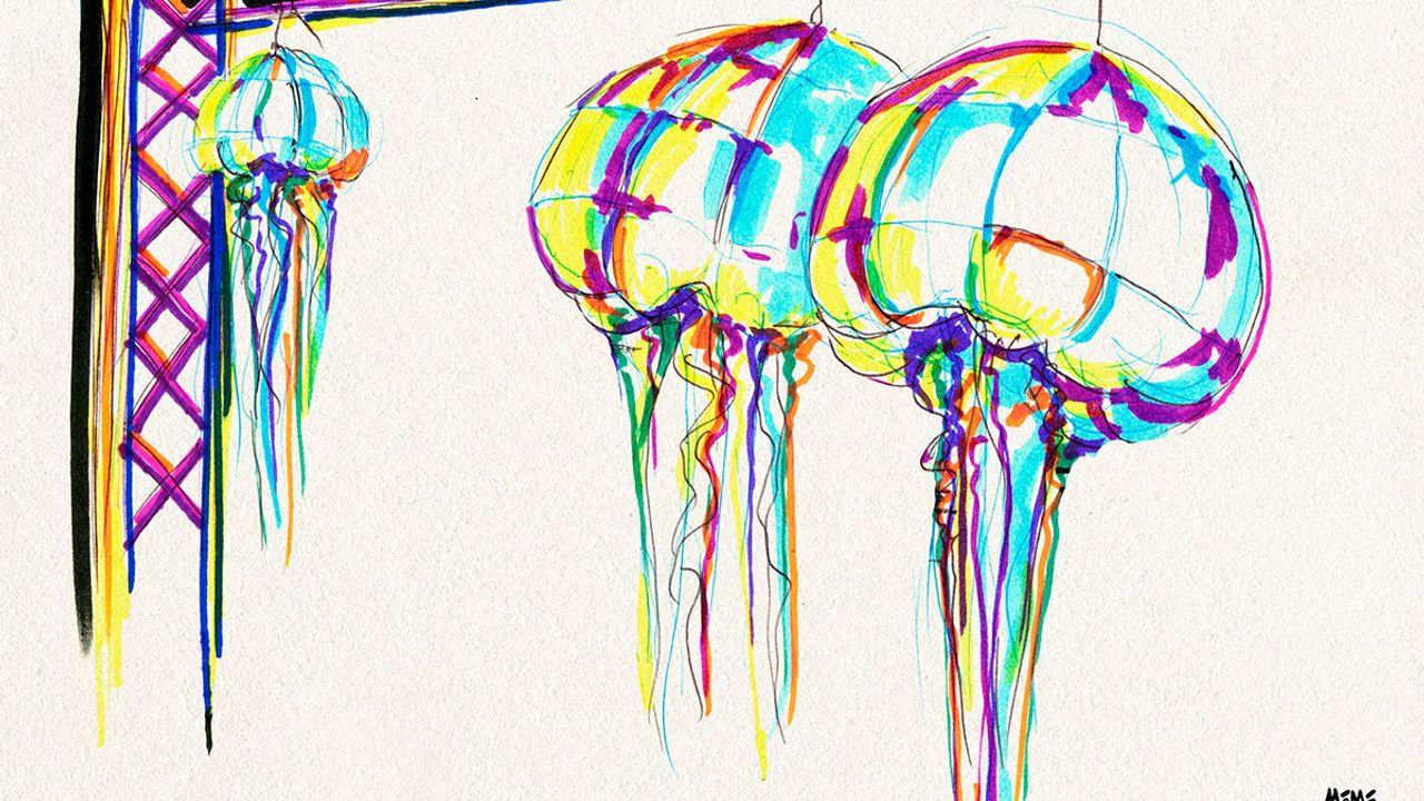 LES MEDUSES de Virginie Transon