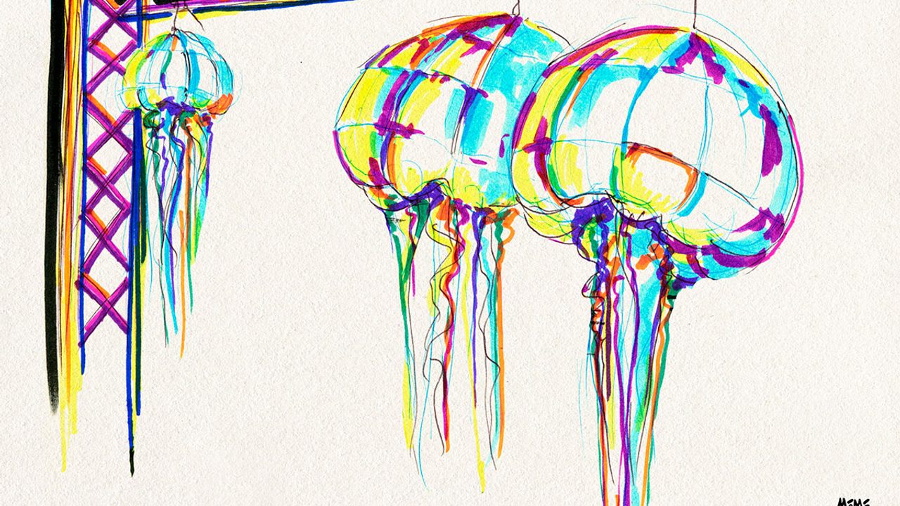LES MEDUSES de Virginie Transon