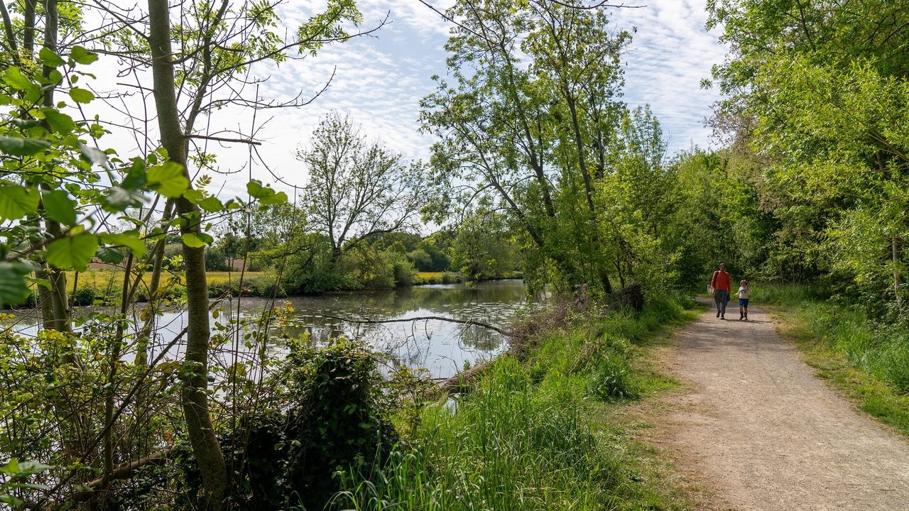 Photo d’un espace vert, un sentier longe un cours d’eau entre les arbres. Des piétons marchent vers le premier plan.