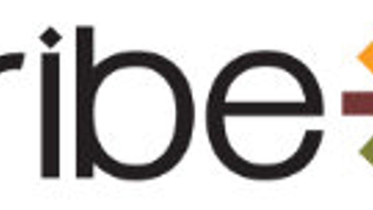 TRIBE-X logo