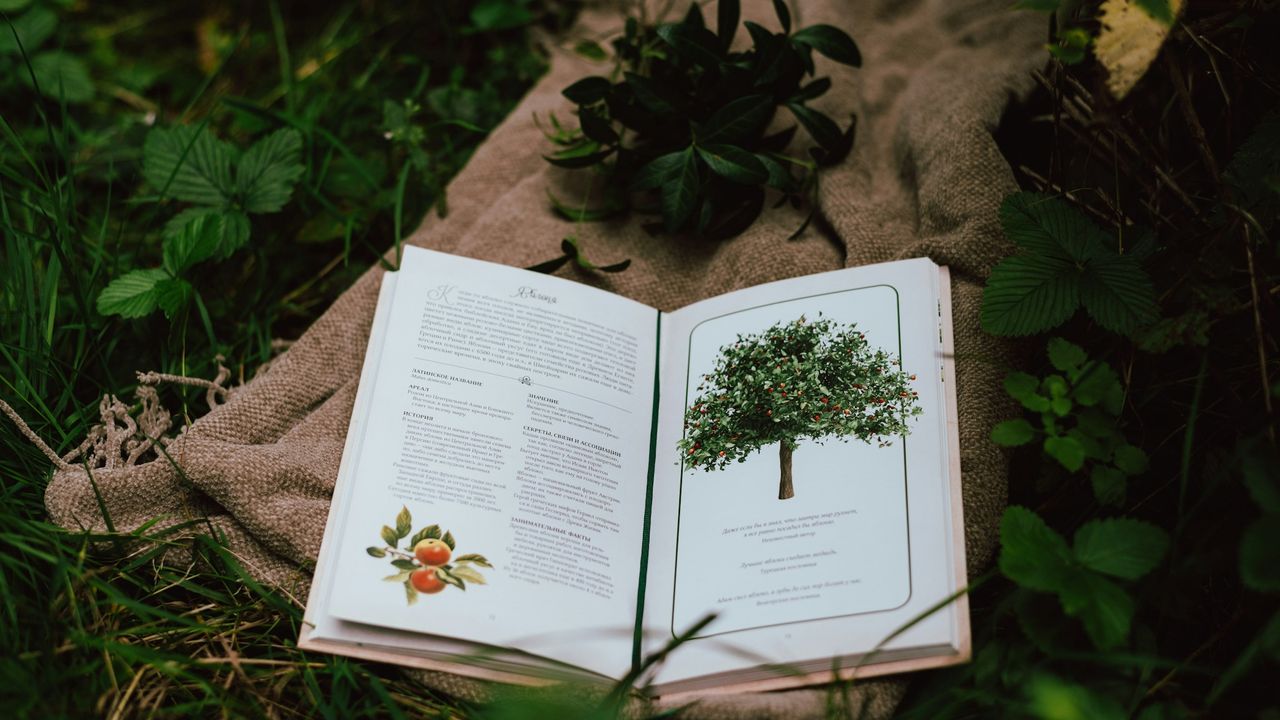 Book in a field