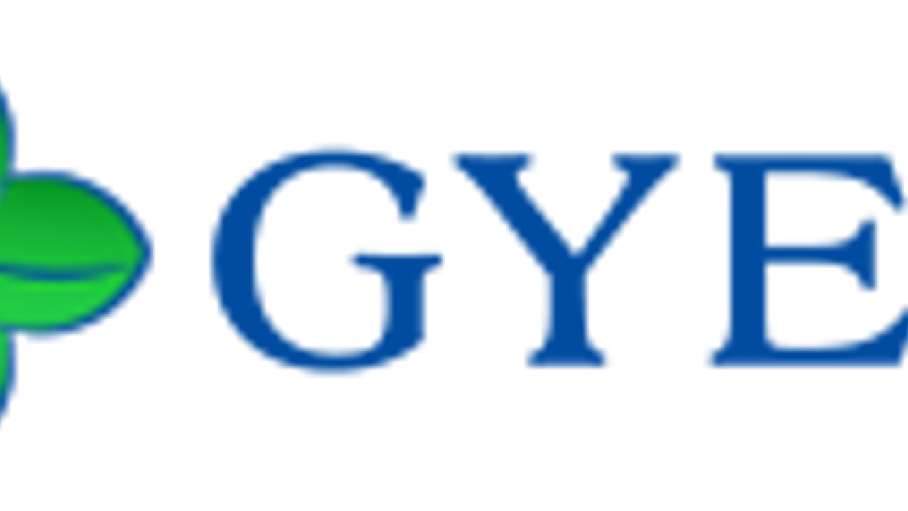 Ghana Youth Environmental Movement