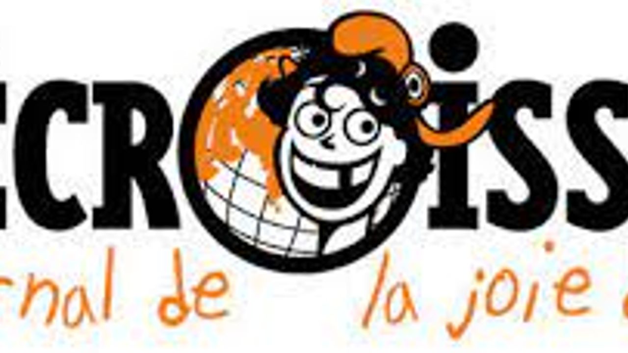 Recension de "Numérique, on arrête tout et on réfléchit" par Pierre Thiesset pour la Décroissance, mars 2024