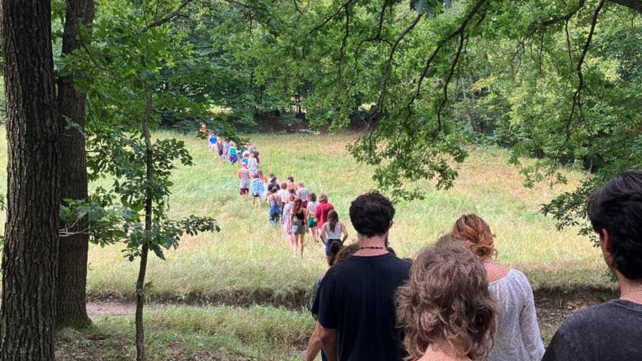 people walking in a line in the forest