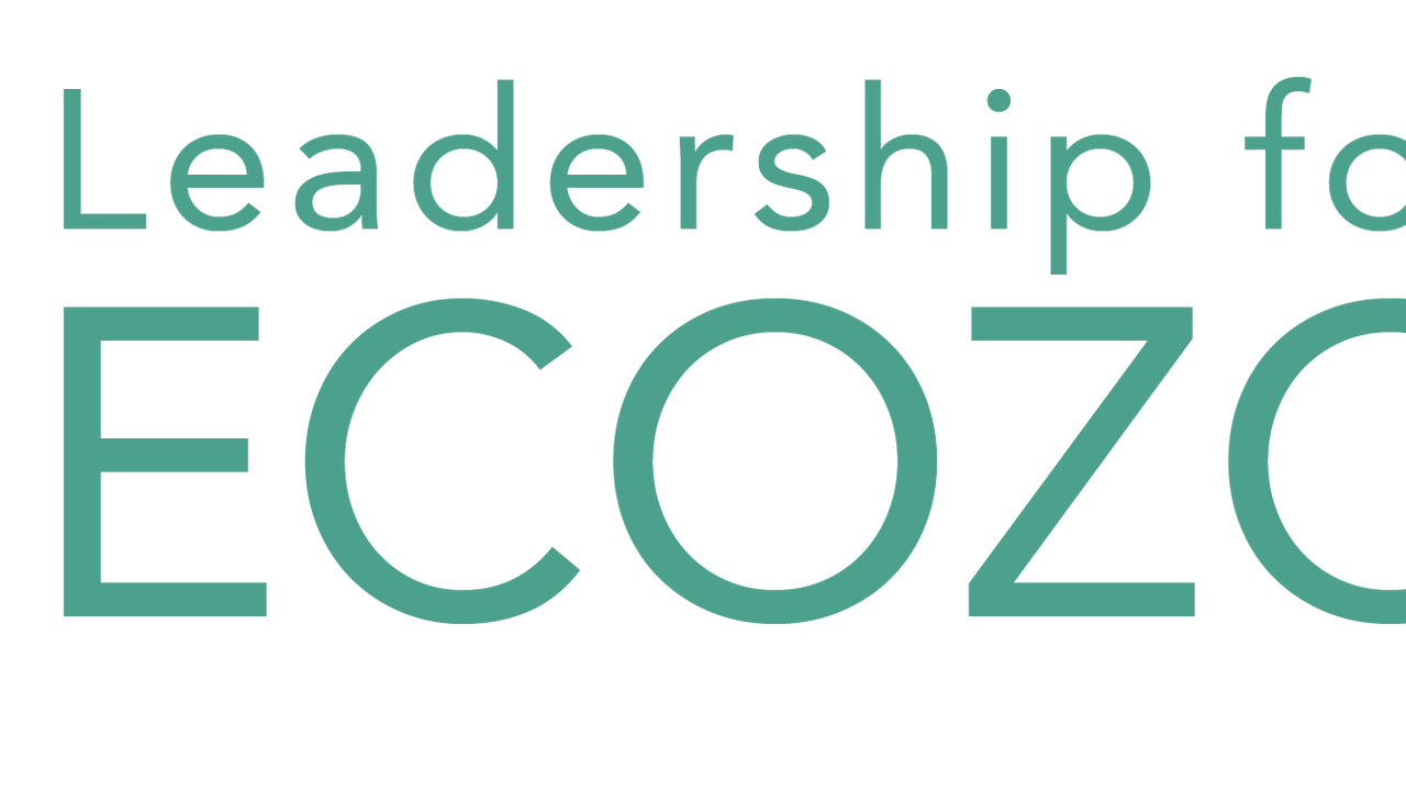 Leadership for the Ecozoic