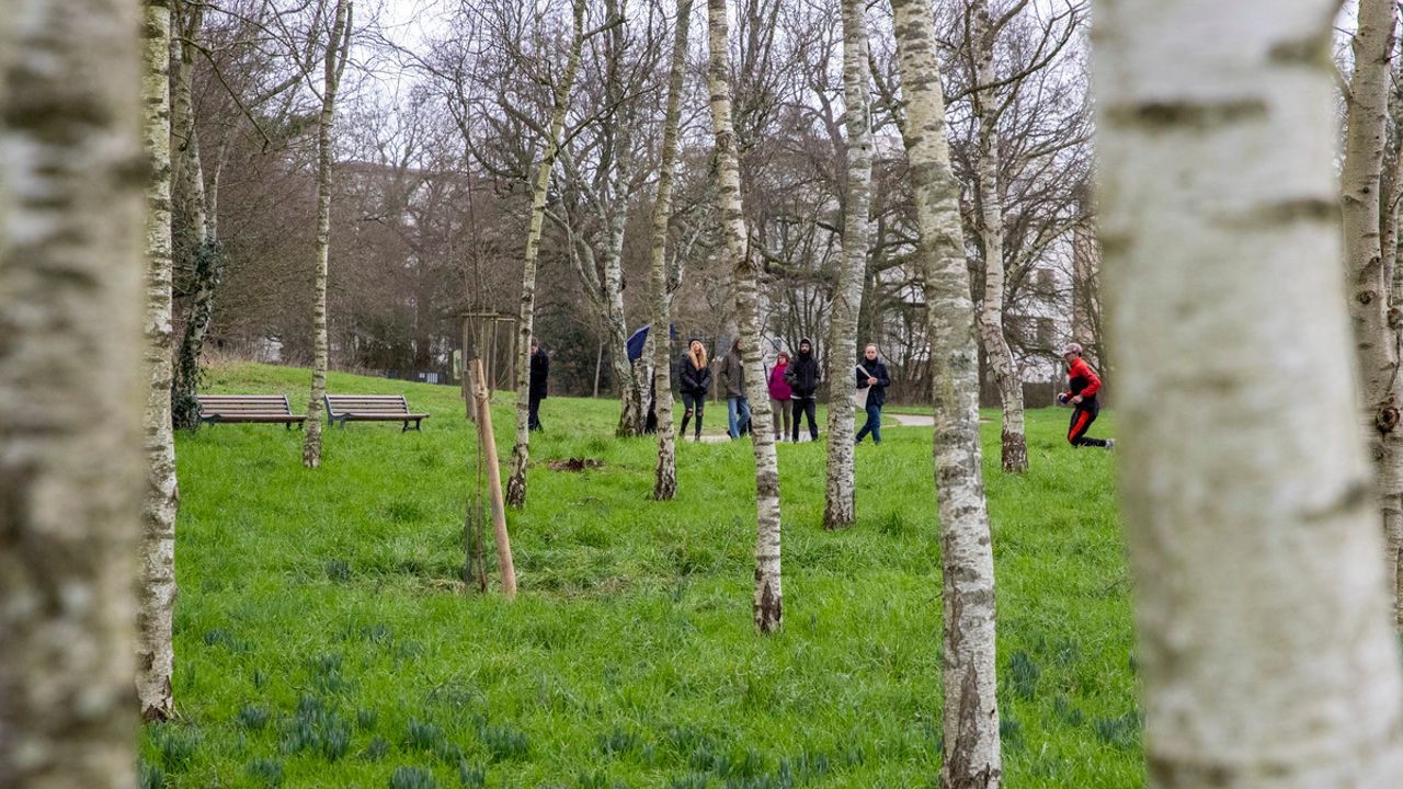 Au premier plan, des troncs d'arbres. Au deuxième plan, les nouveaux commissaires parcourent le quartier Bréquigny