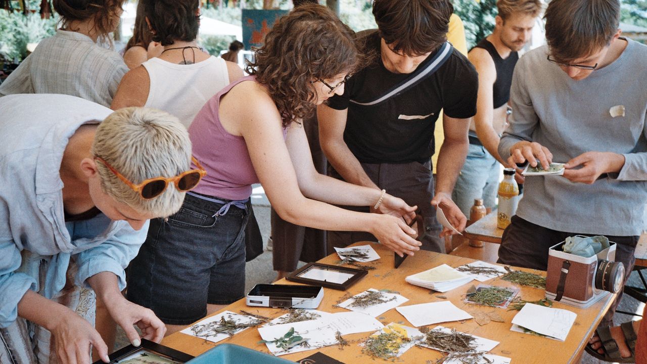 People making cyanotype prints on a table, using plants