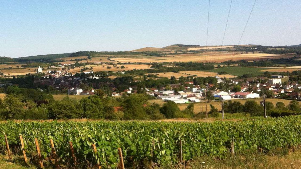 - quel avenir pour la ruralité bourguignonne ? -