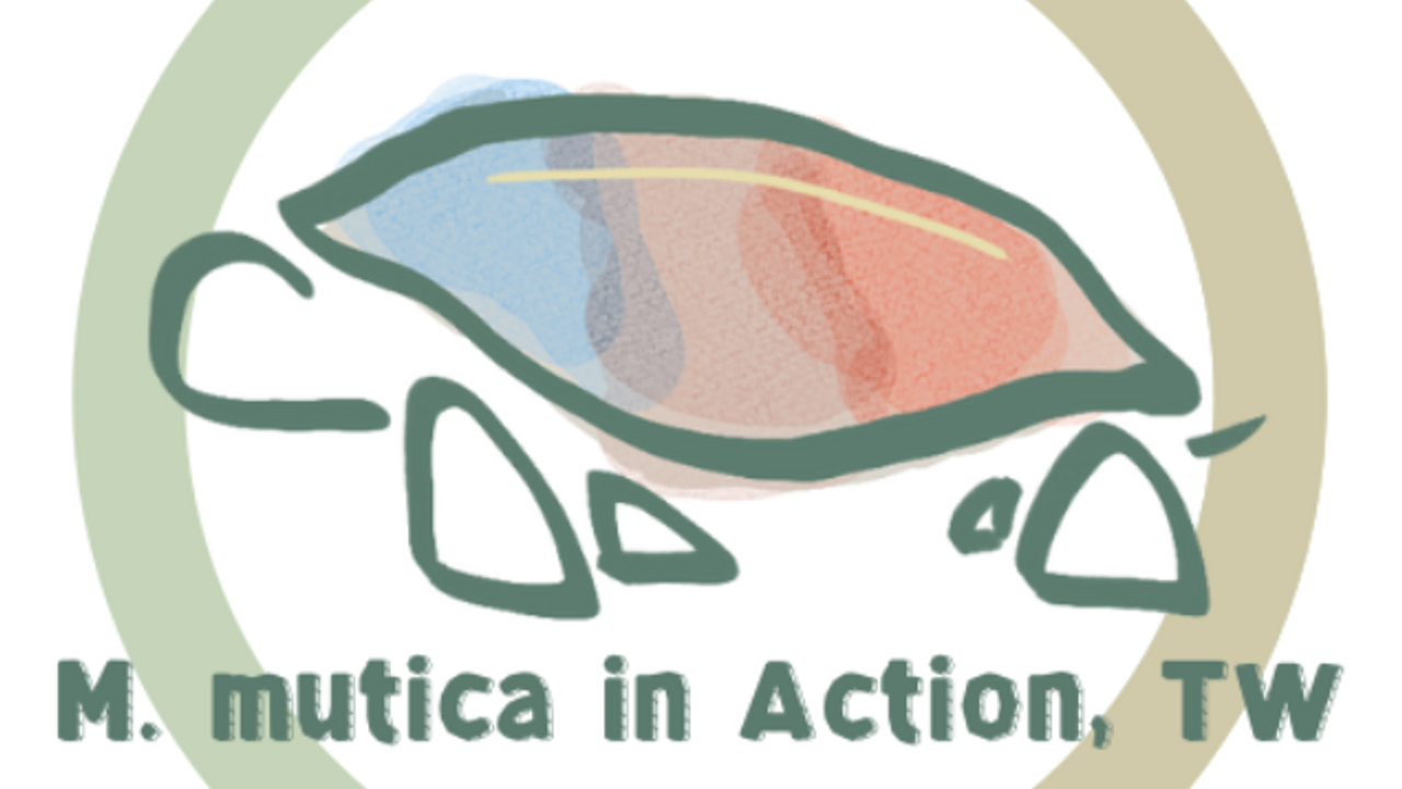 台灣行動柴棺龜淨零棄成長推動協會 (M.mutica in action, Taiwan)